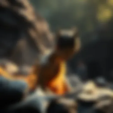 The Interactions within the Ajuki Elemental Framework Artistic depiction of the interactions within the Ajuki Elemental framework