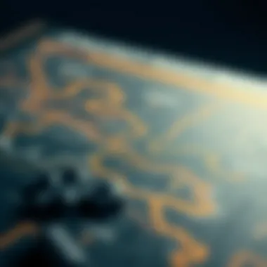 Strategic investment roadmap for ApeCoin