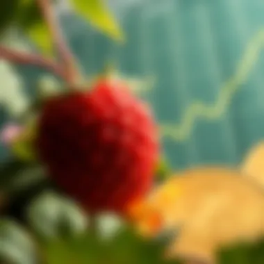 Bitberry's Influential Role in the Cryptocurrency Ecosystem Graph depicting Bitberry's role in the cryptocurrency ecosystem