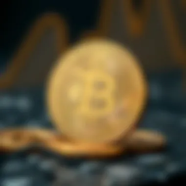 Understanding Different Bitcoin Account Types Visual representation of Bitcoin account types