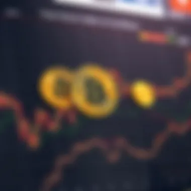 Chart of Major Bitcoin Holders Major Bitcoin holders chart