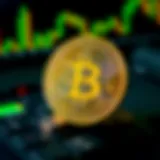 Overview of Bitcoin Payment Methods Bitcoin transaction overview