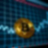 A chart showing the fluctuations of Bitcoin prices over time