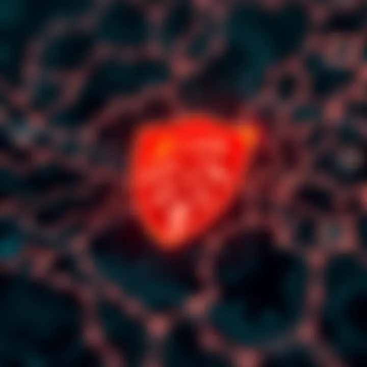 The Future of Data Protection with Brave Conceptual image of the future of data protection