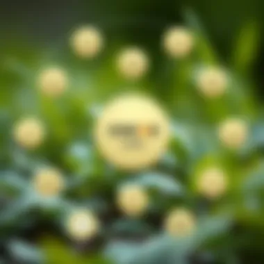 Ecosystem and Applications of Cocos Coin Diagram illustrating the ecosystem of Cocos coin and its applications