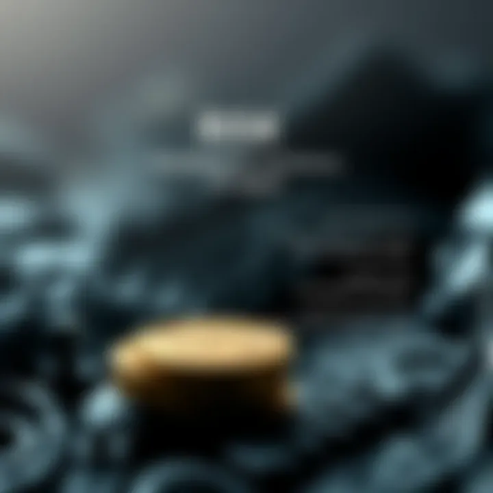 Understanding Risk Management in Cryptocurrency An infographic illustrating the risks associated with crypto investments