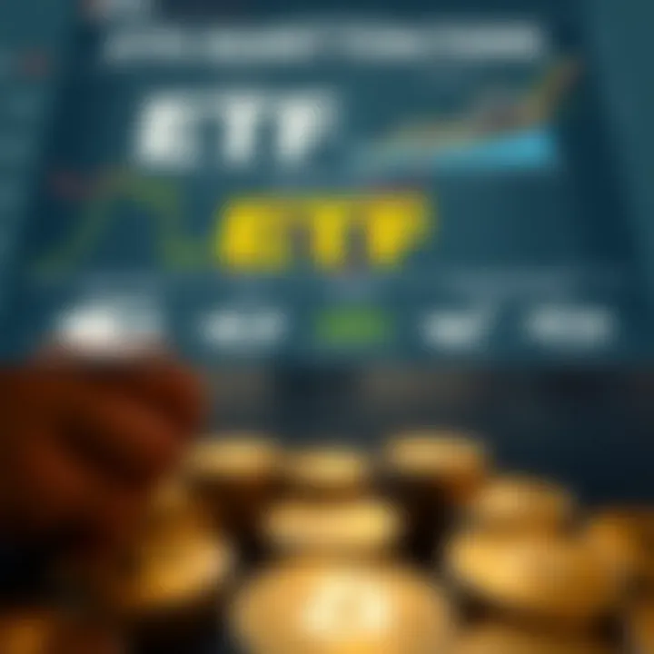Types of ETFs and Market Functions Infographic displaying various types of ETFs and their market functions