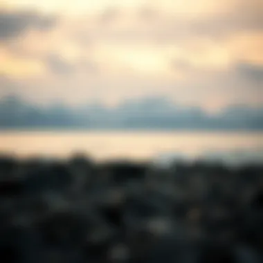 Impact of the upgrade on investors