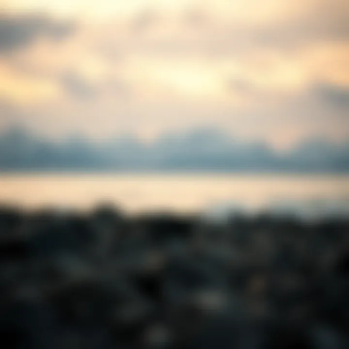 Impact of the upgrade on investors