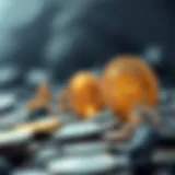 Evolution of Cryptocurrency Representation of the evolution of cryptocurrency