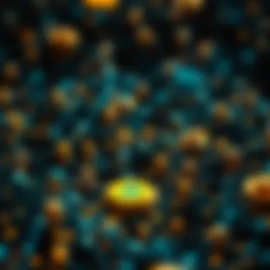 Decentralized Network Architecture of Cryptocurrency Decentralized network architecture of cryptocurrency