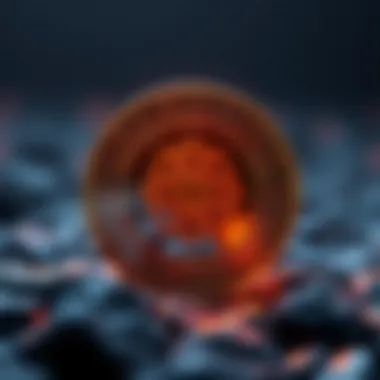 Understanding the Economic Structure of Ignis Economic model illustration for Ignis cryptocurrency