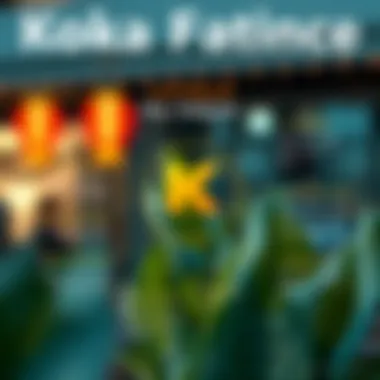 Key Features of Kokoa Finance Infographic highlighting key features of Kokoa Finance