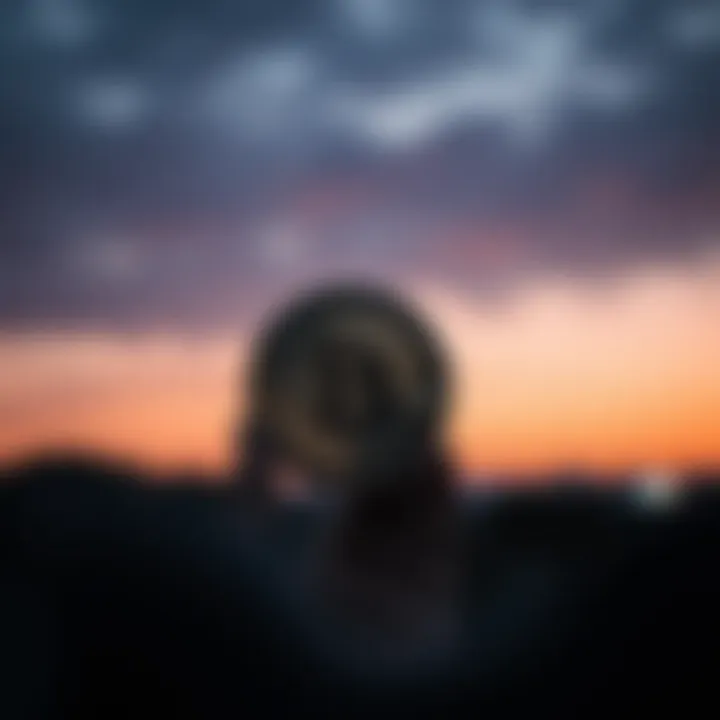 Strategic Investment Approaches for Lumio Investment strategies related to Lumio