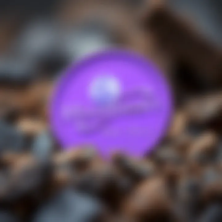 Understanding the Features of Moonbeam Coin Overview of Moonbeam Coin features