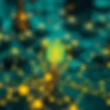 Representation of decentralized network architecture