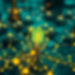 Representation of decentralized network architecture