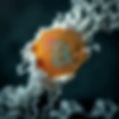 Visual Metaphor for Power Dynamics in Cryptocurrency Visual metaphor for power dynamics in crypto