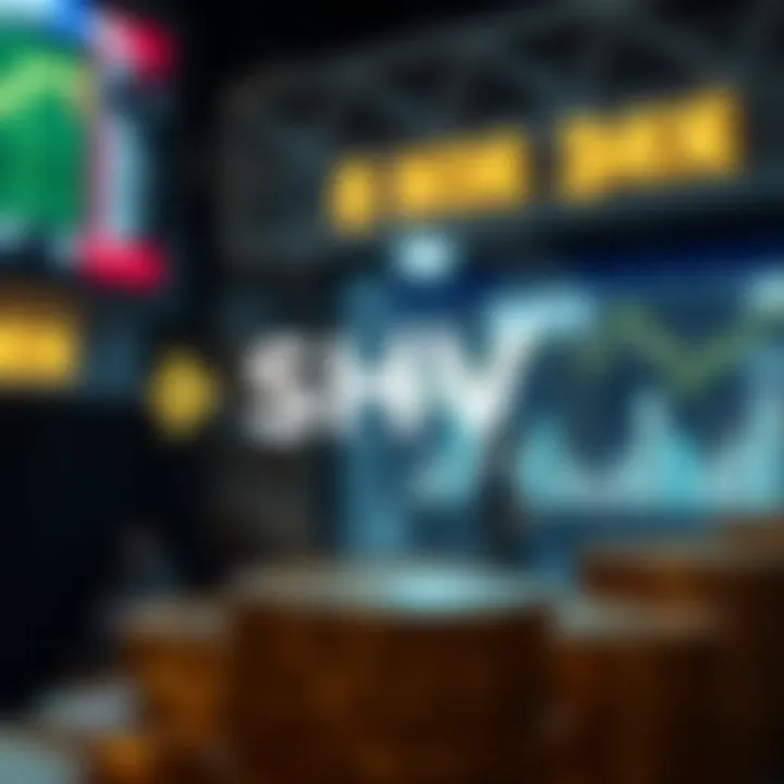 Advantages of Investing in SHV ETF Visual representation of the advantages of investing in SHV ETF