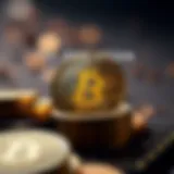 The Evolution of Cryptocurrency Visual representation of cryptocurrency evolution