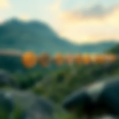 Journey Through Sixcoin's Evolution Historical timeline of Sixcoin development