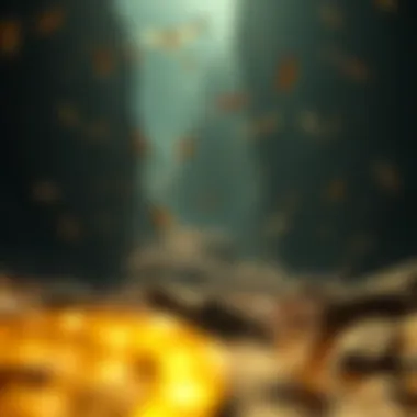 Impact of telos on personal goals