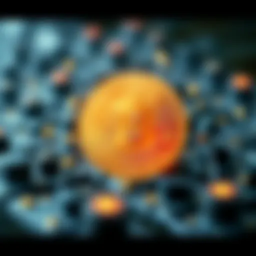 Visual representation of USDC's structure