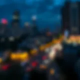 Overview of Vica Token functionality