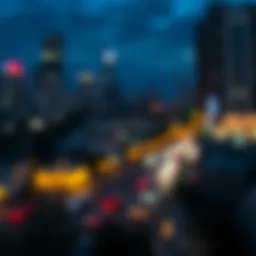 Overview of Vica Token functionality